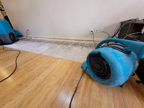 Professional Flood Damage Cleanup technician working in Luray, VA